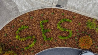 SES-Logo aus Grünpflanzen 