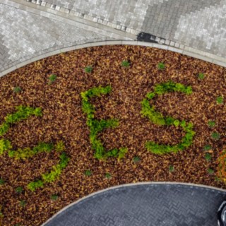 SES-Logo aus Grünpflanzen 